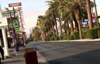 Le wedding Chapel: quando a celebrare è Elvis! – Maxima Vegas ep.13